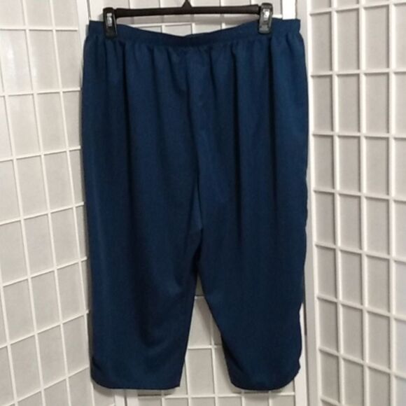 Allison Daley Blue Capri Pants W/ With Comfort Elastic Waistband - Picture 2 of 8